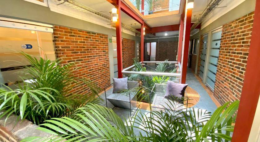 Colonia Cuauhtemoc Hostel | Hostel ∙ 10 guests