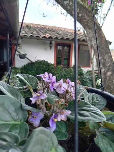 Coatepec Hotel | Hotel Boutique Casabella