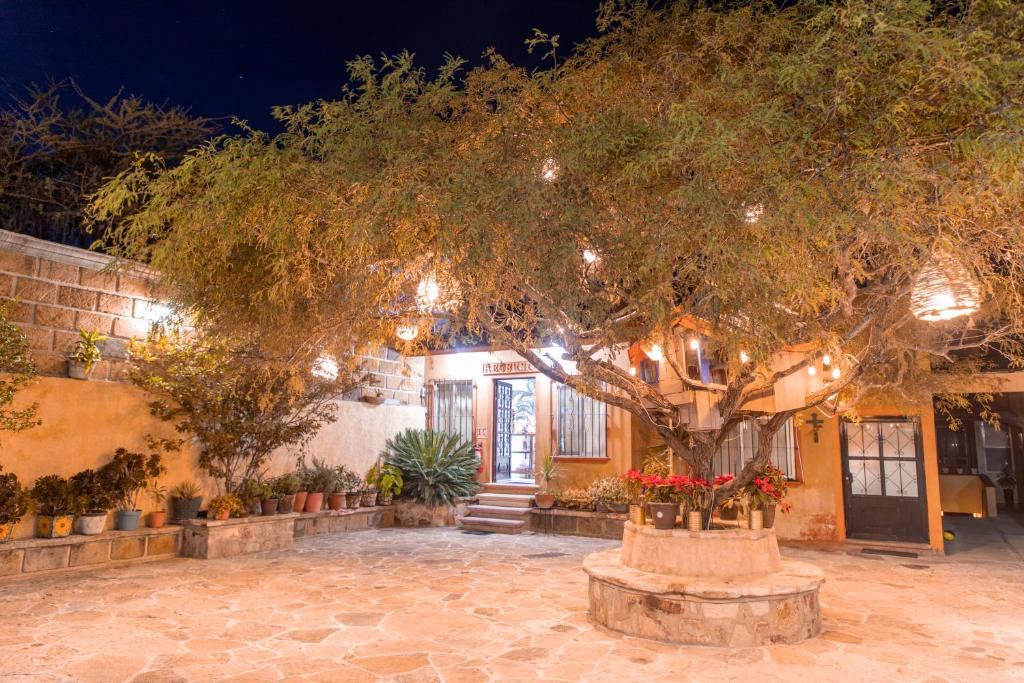 Bernal Hotel | Hotel Casa del Arbol