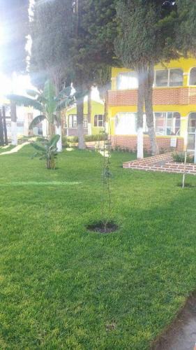 Ixmiquilpan Hotel | Hotel Cipreses