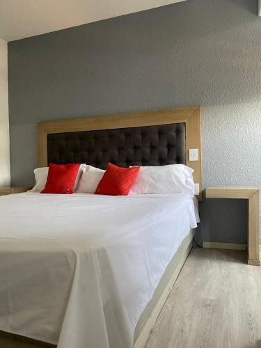 Aguascalientes Hotel | Hotel Italia, Aguascalientes