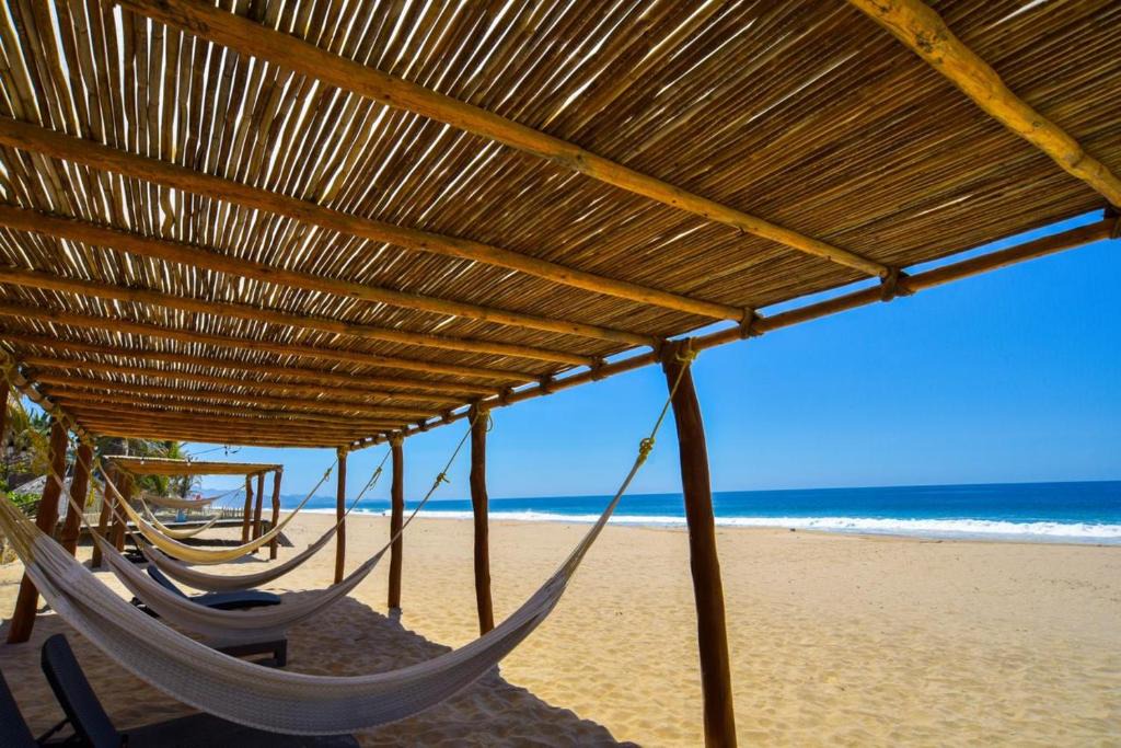 Acapulco Hotel | Hotel Maree