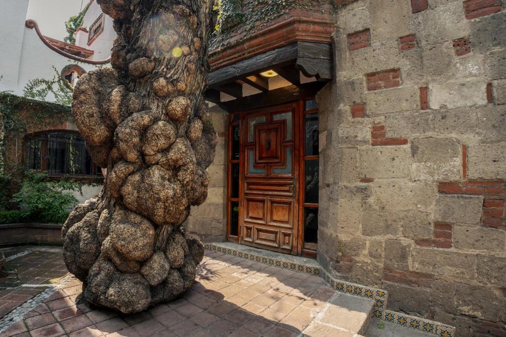 Del Carmen House | Jr Suite en el Centro de Coyoacán