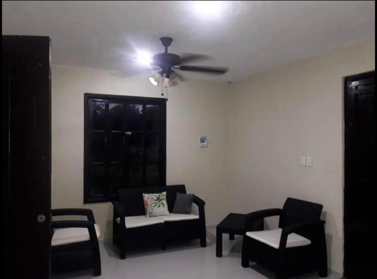 Centro House | La casa verde