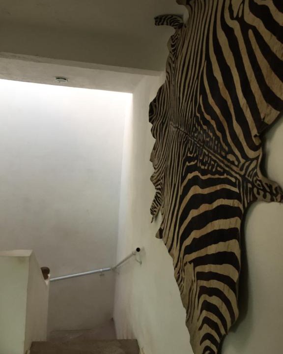 Tequesquitengo House | Lago rodeo
