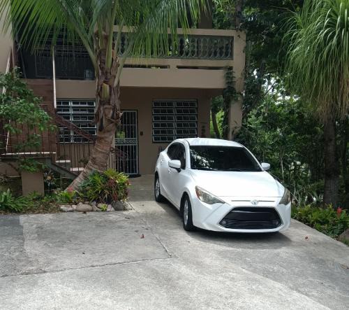 Ciales Apartment | Large Private Apartment with Forest Views in Ciales