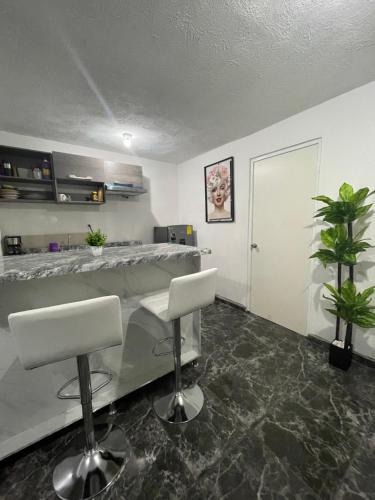 El Salto House | Luna House