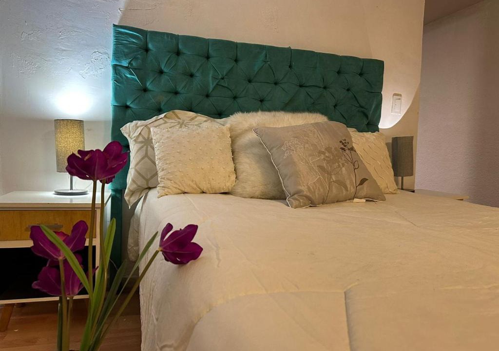 Apizaco Apartment | Majestuoso alojamiento
