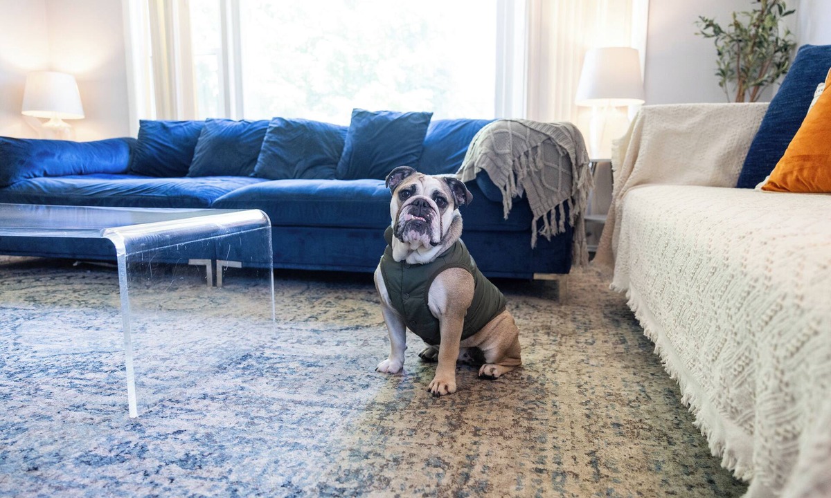Evanston Condo | MDRN Kid-Friendly Apt|Charming|Private|Sunny|Fast Wi-Fi| Parking