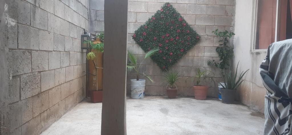 Zapopan Apartment | Necesario y Confortable Descanso