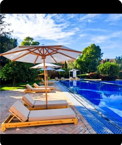 Palmeraie Apartment | Oasis Garden Apartment Marrakech