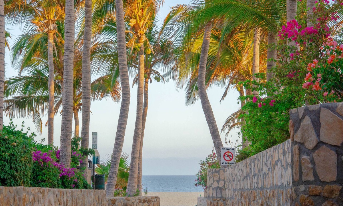 Pedregal Hotel | Pedregal Suites Downtown and Marina