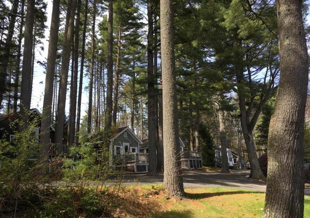 Lincolnville Resort | Pine Grove Cottages
