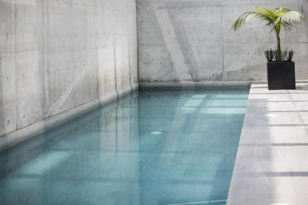 Miguel Hidalgo Apartment | Polanco LiveMexicoCity