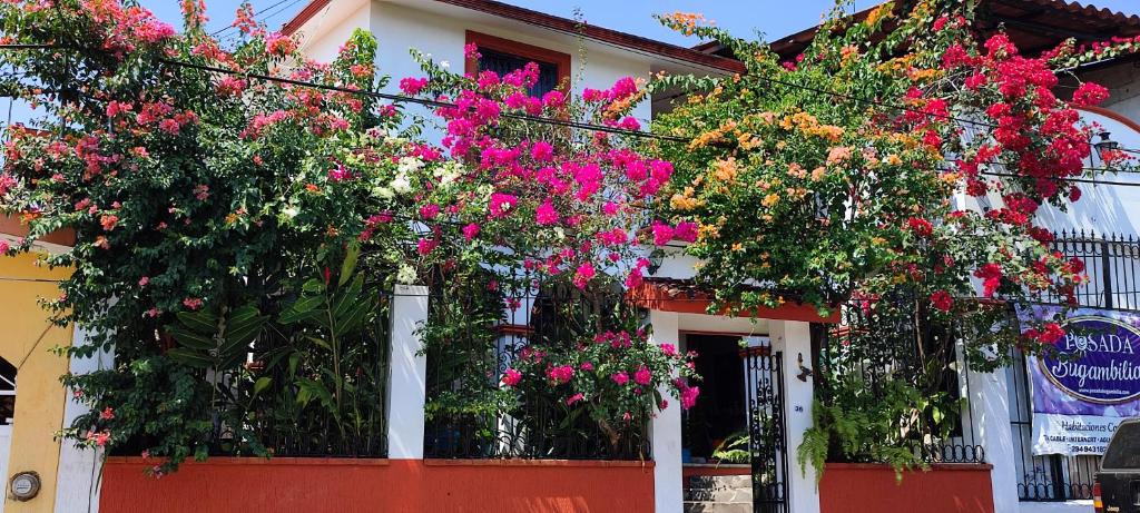 Catemaco Hotel | Posada Bugambilias