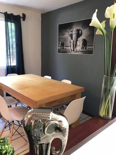 Zapopan Apartment | Posadas nido del tecolote