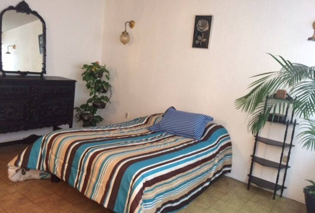 Coyoacan Resort | Private room ∙ 1 guest