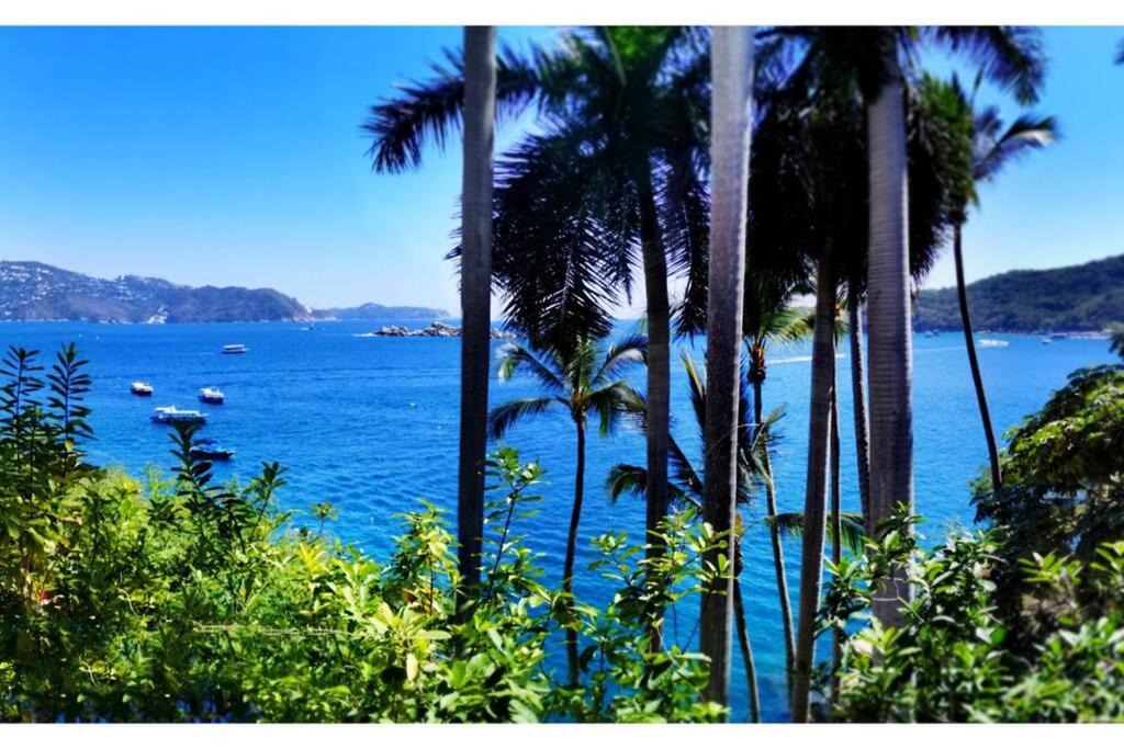 Caleta Villa | RELAX in SECLUSION with LOVED-ONES Villa w/BARMAN!