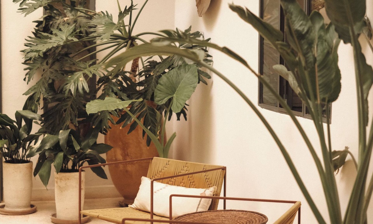 Assouel House | Riad le5 - Luxirious private Riad - All Inclusive