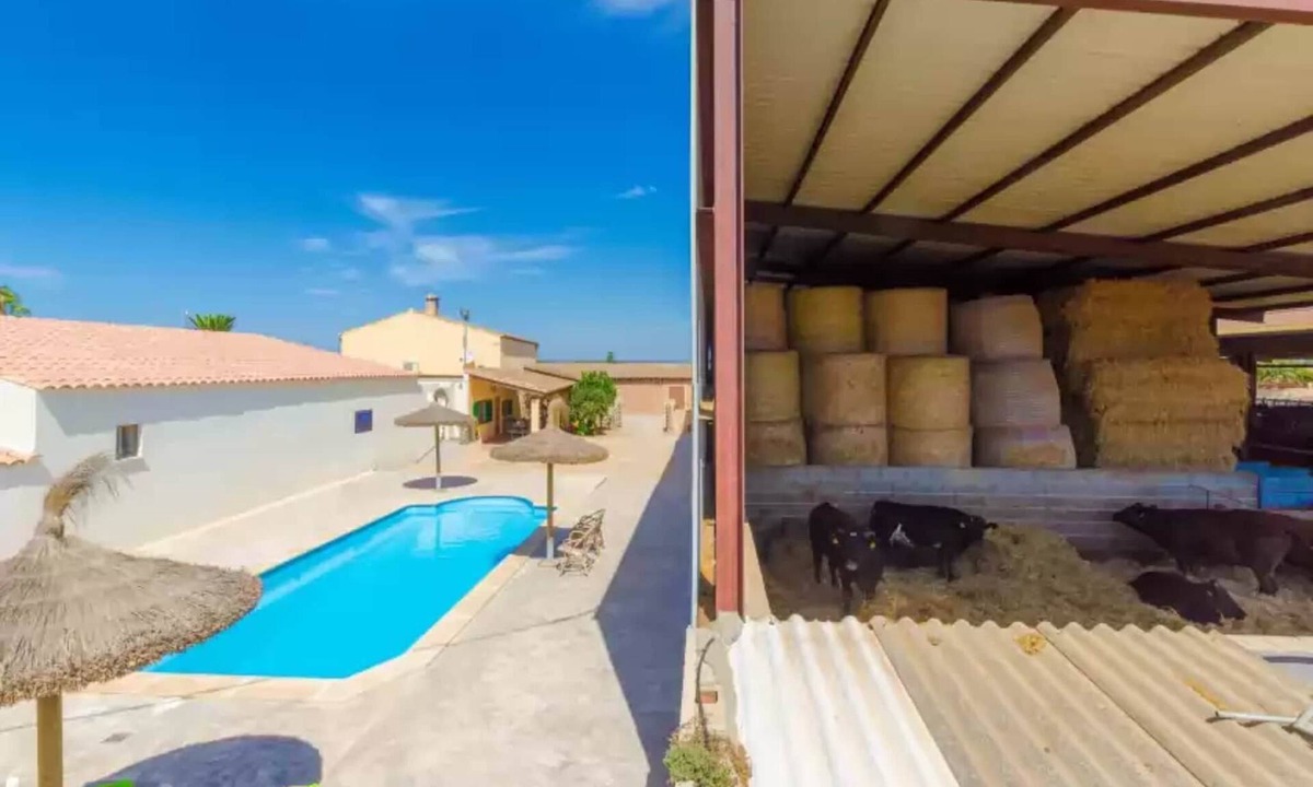 Es Palmer Ski Chalet | Sa Caseta De Ses Vaques.son Covas - Country House