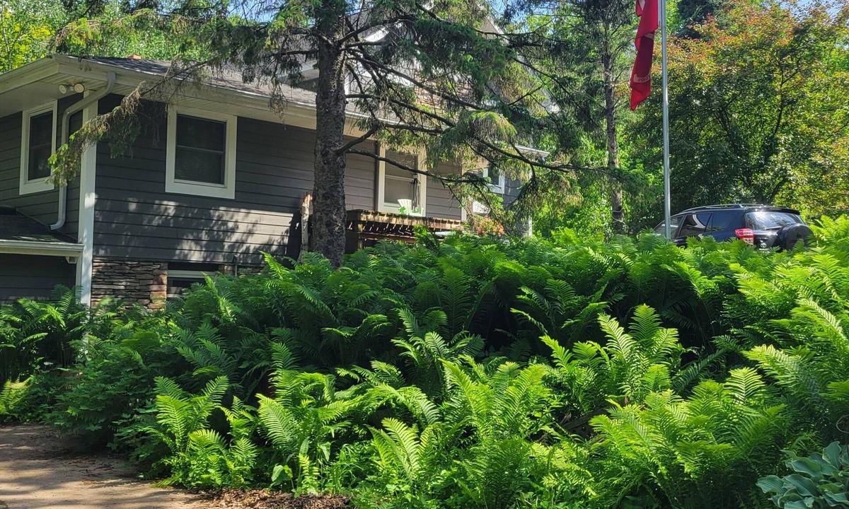 Afton House | Spacious Retreat in Afton, MN 2 mins from downtown