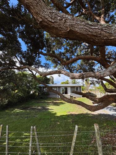 One Tree Point House | The Bach at One Tree Point