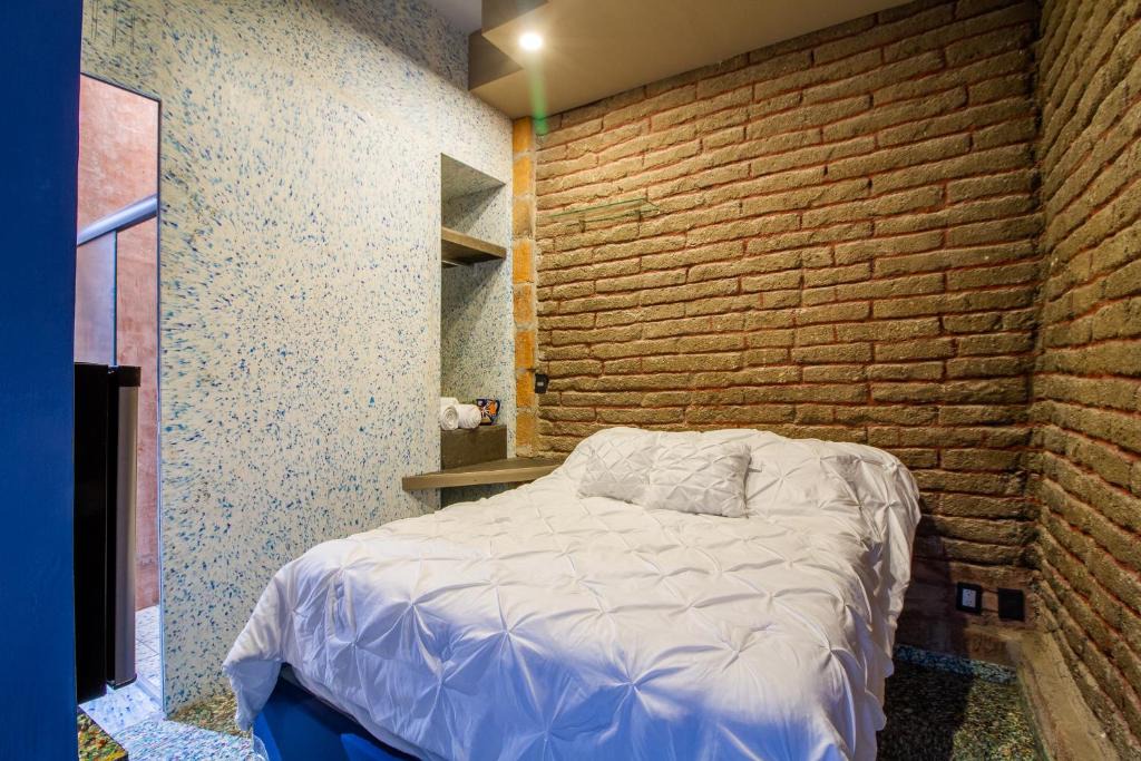 Guadalajara Bed & Breakfast | TOLTEQUIDAD Warm Ecostay Near Downtown