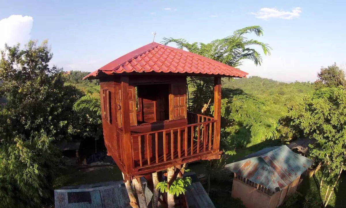 Mae Salong Nai House | Treehouse and swimming pool