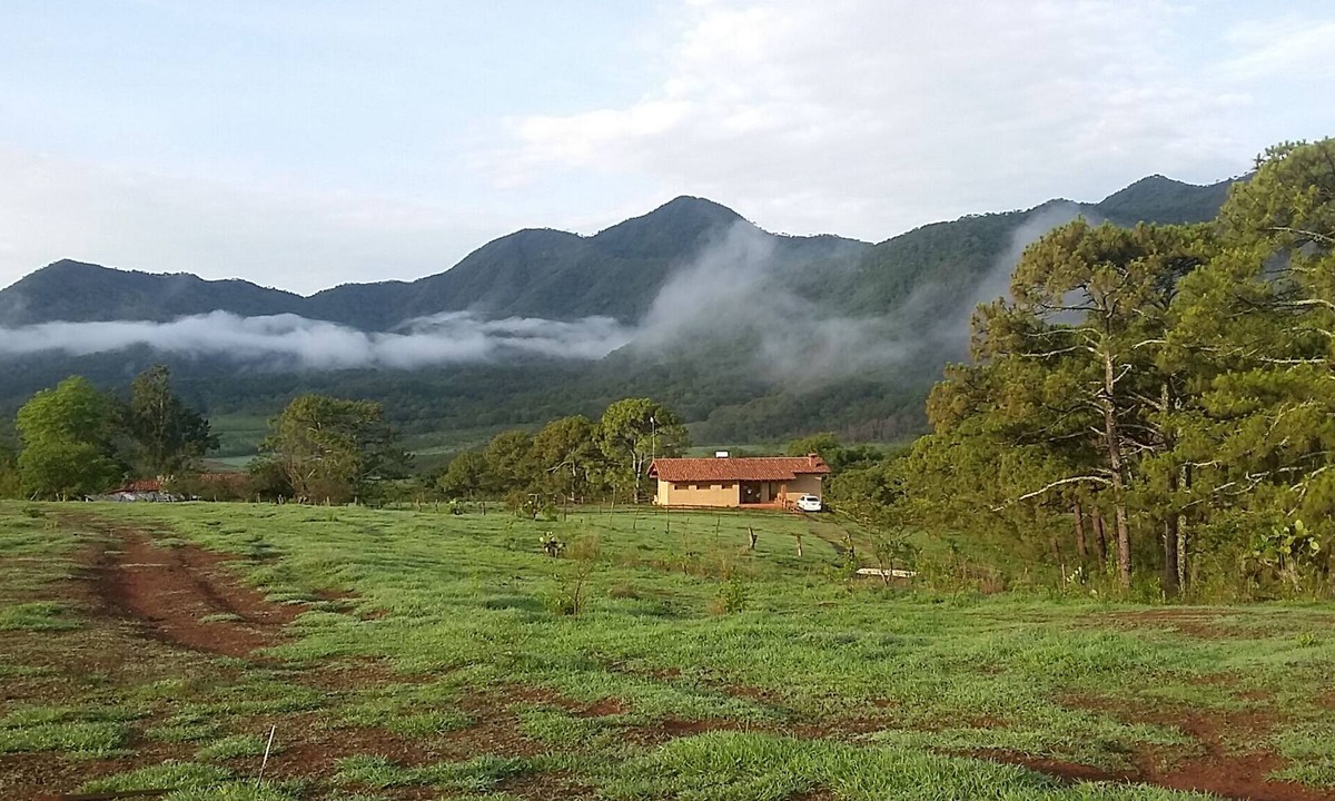 Mascota Cottage | Unique ecological home in the mountains overlooking a lake.