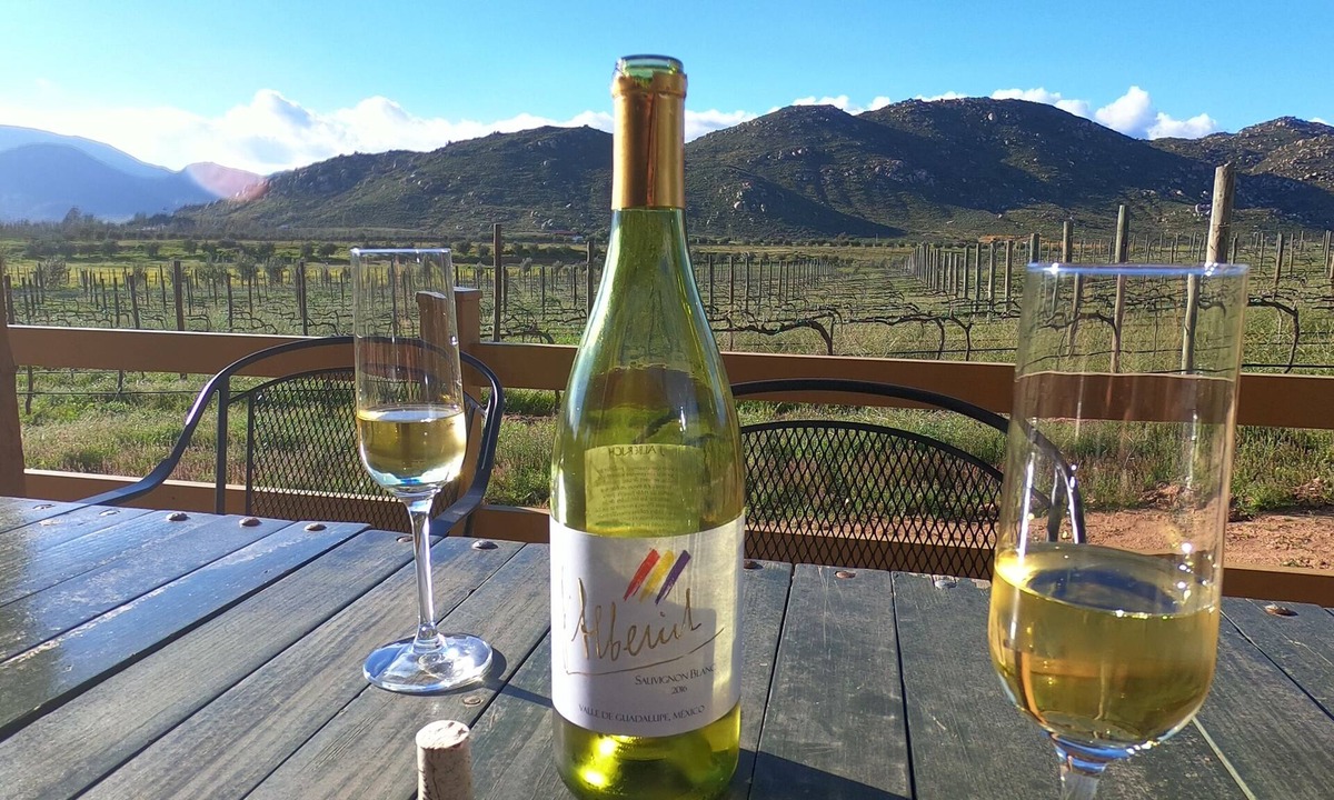Valle de Guadalupe Bed & Breakfast | Vinya Abril