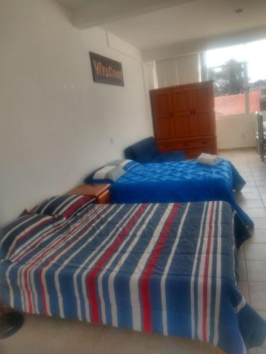 Xochimilco Apartment | Xochimilco Hermoso Departamento Loft junto a Trajineras