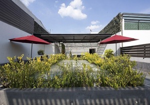 4Px Eco friendly Apartment with trendy Rooftop! (G)