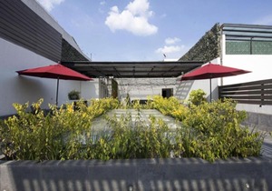 6Px Spacious apartment with trendy Rooftop!