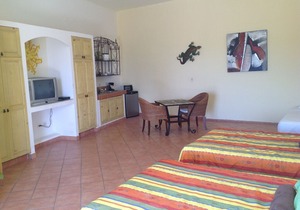 BRAND NEW HUGE STUDIO 2 FULL BEDS FURNISHED WITH POOL 1 BLOCK FROM THE BEACH