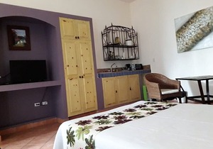 BRAND NEW HUGE STUDIO 2 FULL BEDS FURNISHED WITH POOL 1 BLOCK FROM THE BEACH