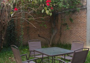 Calm Residence 200m Colomos Park/10min. Andares Mall