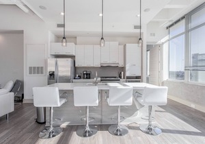 Dazzling Downtown City View Condo