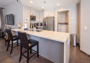 Fresh Remodel - 1BR 1BA Gorgeous Ocean Front Condo at Las Palomas - Cristal 306