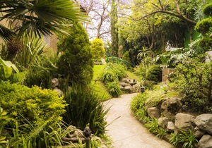 GARDEN HOUSE, WELCOME TO SAN ANGEL NEIGHBOURHOOD