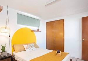 La Paz & Love Hostel | Private Room l Pet Friendly