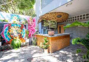 La Paz & Love Hostel | Private Room l Pet Friendly
