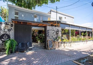 La Paz & Love Hostel | Private Room l Pet Friendly