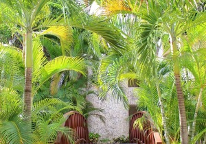 Lovely 2 bedroom serviced apartment with pool.