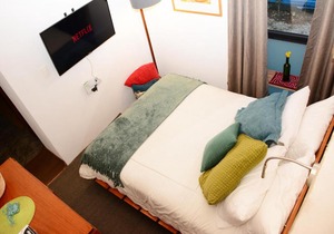 New Cozy Apartment in the heart of Coyoacan