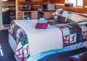 Nightly Rental Cabin in Seward, AK