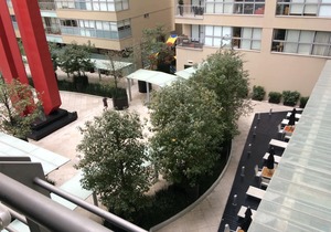 Nuevo Polanco, mucha seguridad en la zona y el inmueble con acceso restringido.