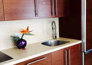 Oceanfront Apartment Icon Vallarta
