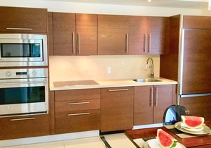 Oceanfront Apartment Icon Vallarta