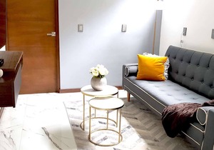 Polanco Close to Shopping Malls 1BR 1BT