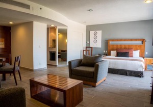 Real Inn Guadalajara Expo